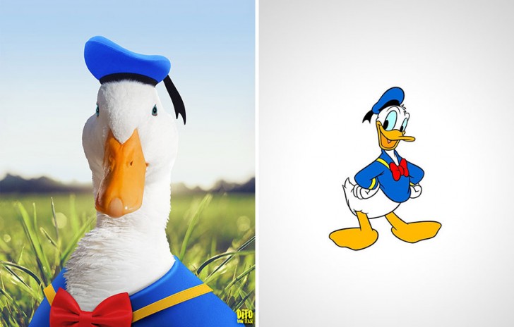 5. Donald Duck dans le monde réel !
