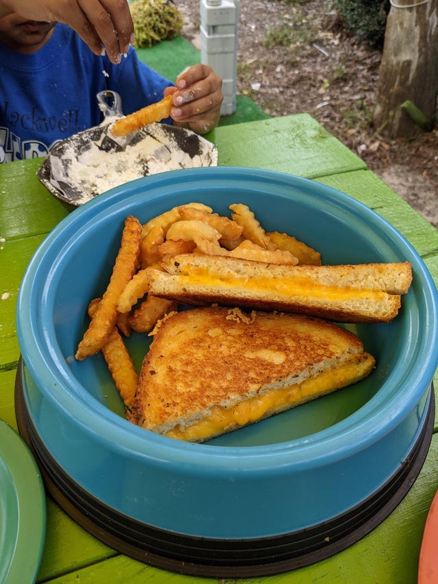 8. "My son's grilled cheese came straight from a dog bowl!"