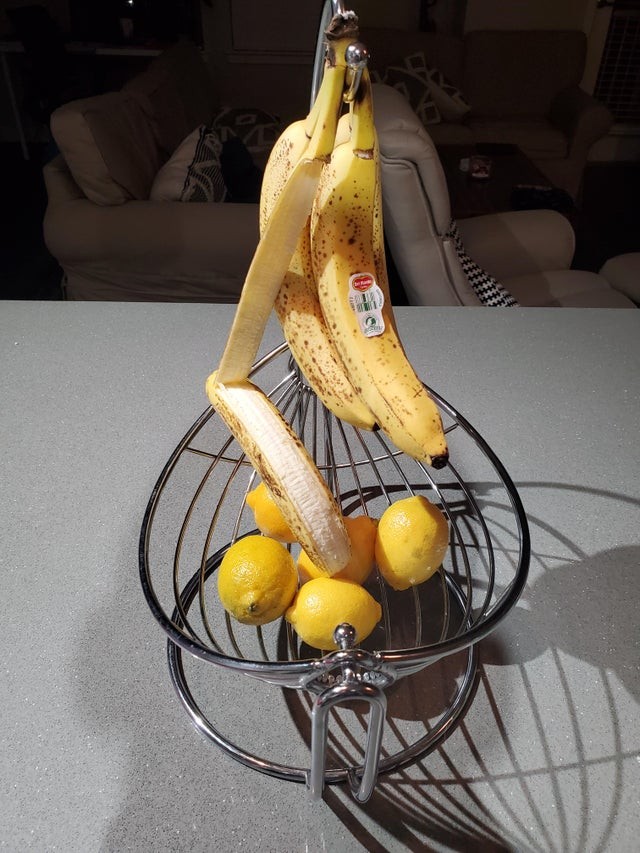 4. "Bem, acho que vou ter que comer aquela banana agora..."