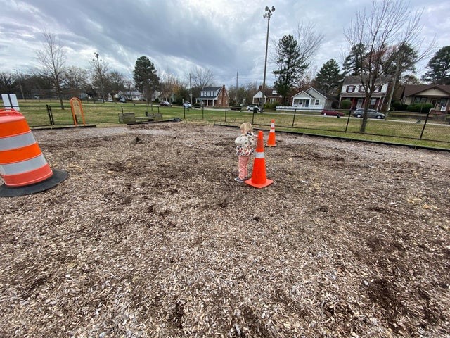 5. "My daughter and I walked to the nearby park on foot, only to find that ... the play equipment had been removed!"