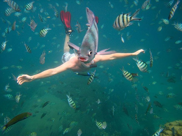 1. Je dirais qu'il a passé beaucoup trop de temps dans l'eau.