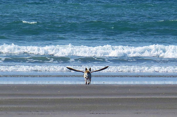 4. C'est certainement une photo très inspirante.