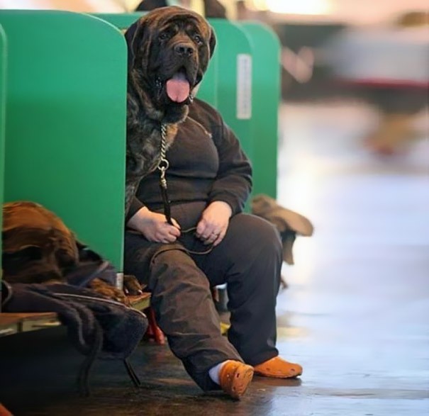 6. Een bijzondere passagier.