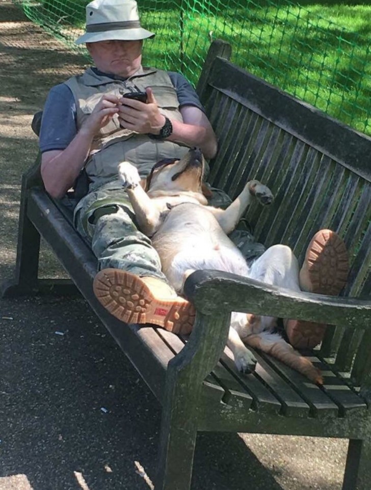 A moment of relaxation alongside his owner!