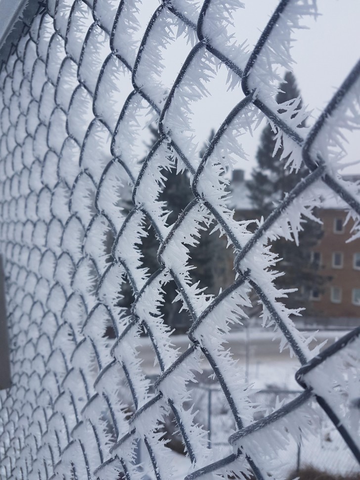 4. I cristalli di ghiaccio si sono posati sulla rete rendendo le sue maglie un'opera dalla perfetta e affascinante geometria.