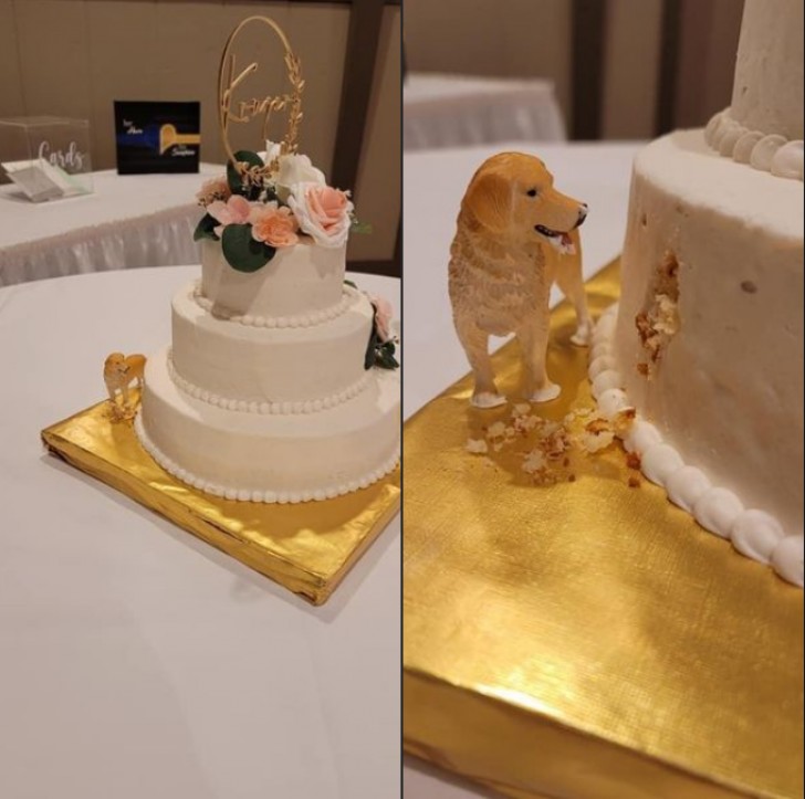 6. Um adorável "intruso" no bolo de casamento - ele também faz parte da família!