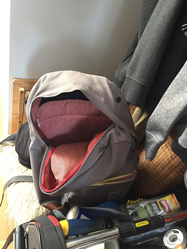 14. Dieser Rucksack enthält einen glücklichen Delphin. Möglicherweise bereit, alle Ihre Bücher zu verschlingen. Denken Sie nicht einmal daran! Das klingt nicht wirklich nach einer guten Ausrede.