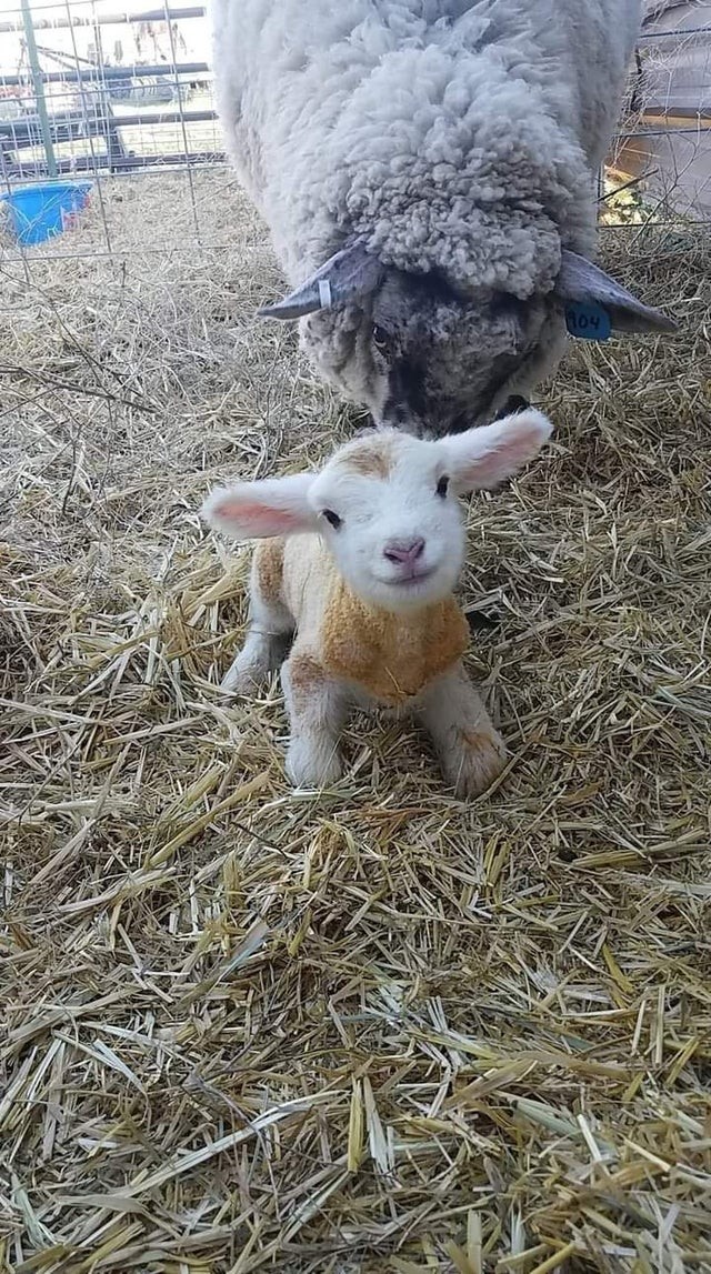 Ele nasceu a apenas 15 minutos! E olha que sorriso!