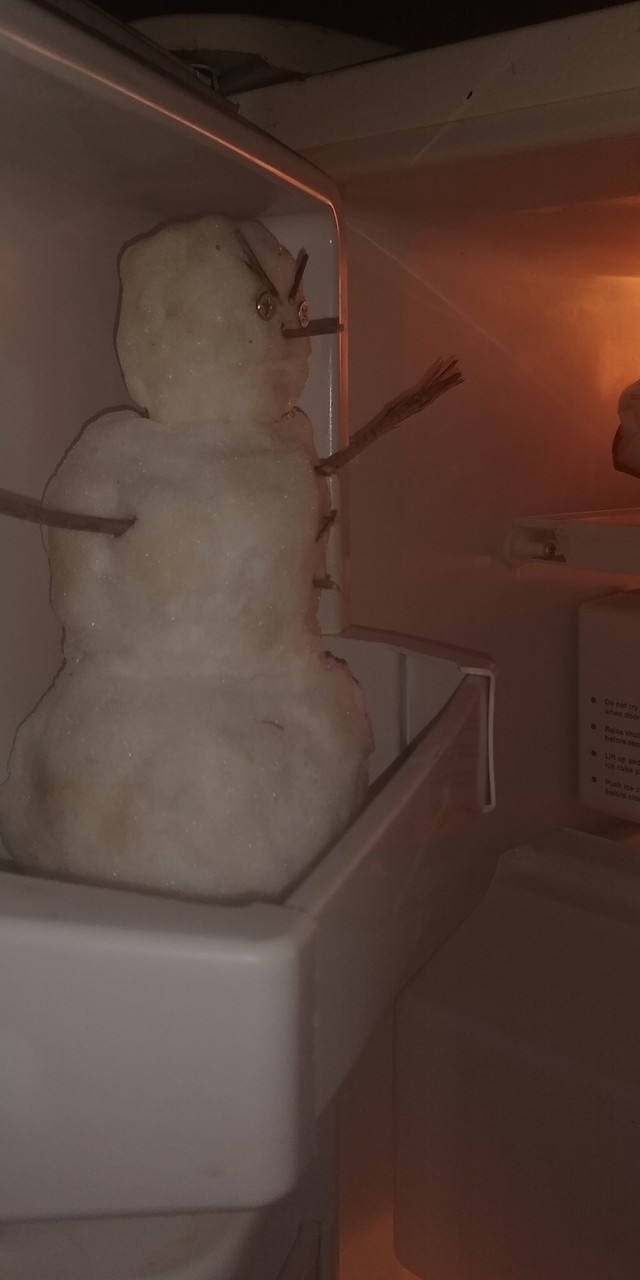 Chaque année, la même tradition : faire un bonhomme de neige menaçant... dans le congélateur de la maison !
