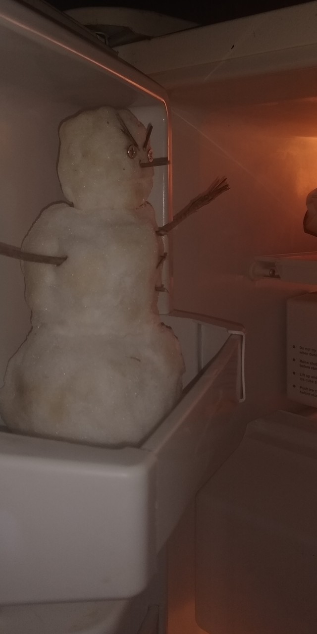 Todos os anos a mesma tradição: fazer um boneco de neve ameaçador... no congelador de casa!