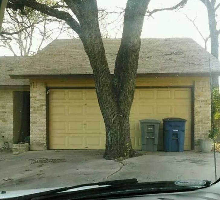 7. Wenn Ihr Architekt ein netter Kerl ist. Dieses Haus kommt mit einer großen Garage.... Unverwendbar.