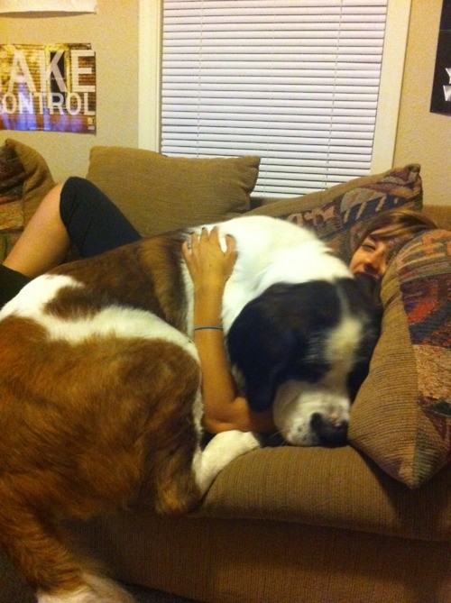 5. Ook deze hond wilde gewoon een knuffel van zijn baasje, die geduldig het gewicht van haar hondje draagt.