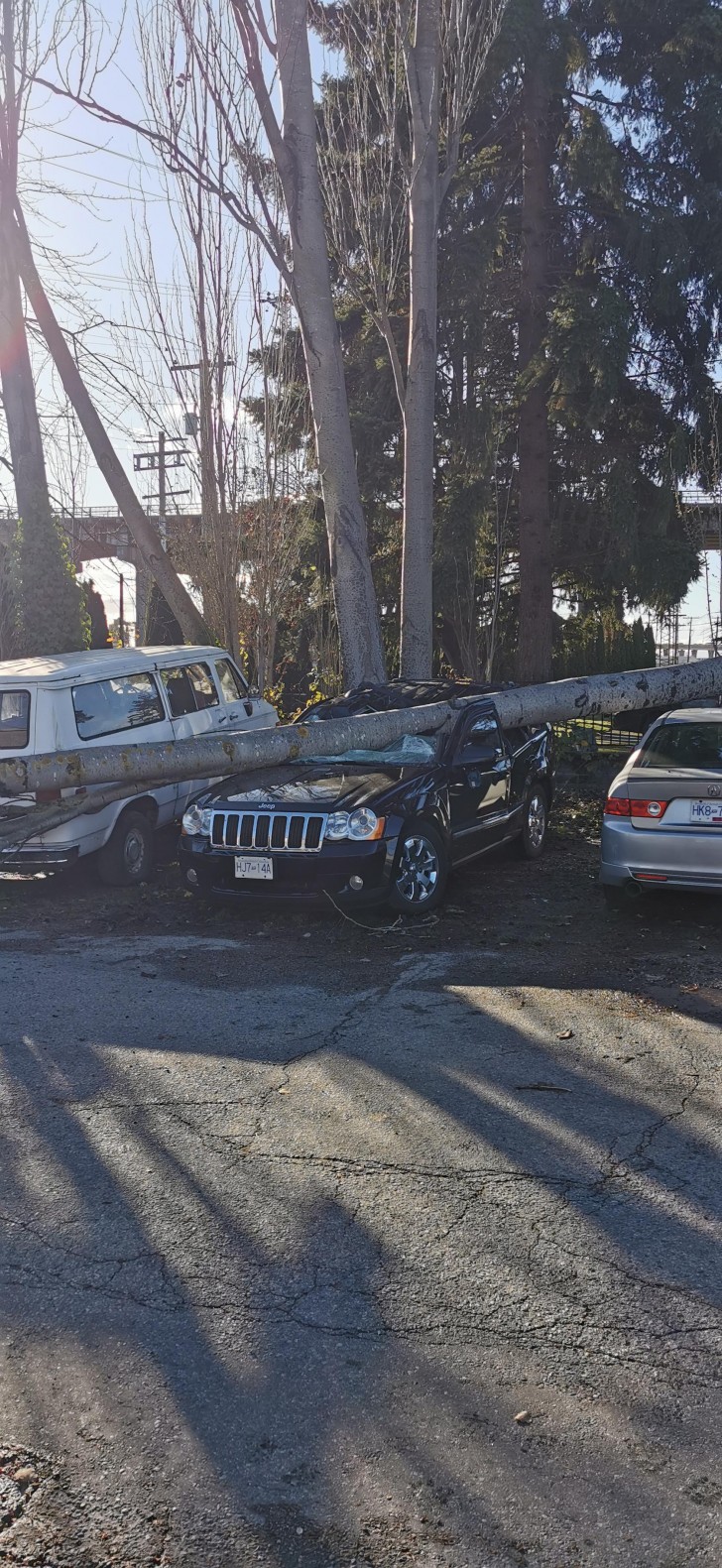 10. Ich denke, das Auto stand wegen eines Öllecks auf dem Parkplatz eines Mechanikers... jetzt steht es vielleicht auf einem Schrottplatz.