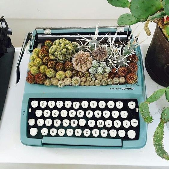 5. Auriez-vous pensé à mettre des plantes dans une vieille machine à écrire ?