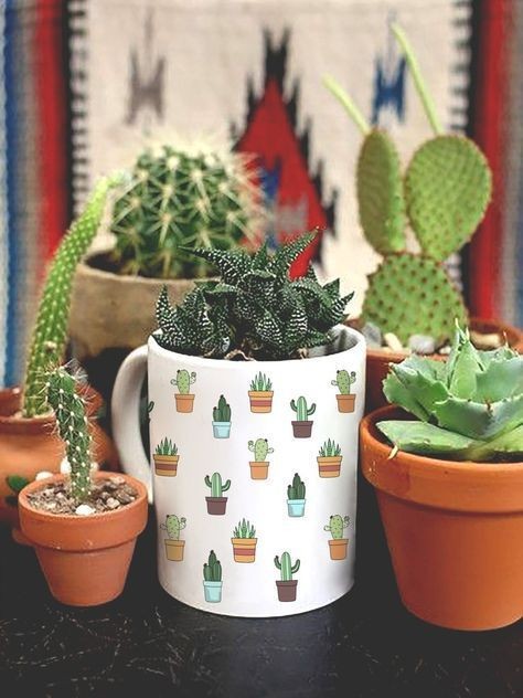 8. Des tasses fendues sont parfaites pour des cactus et des plantes grasses