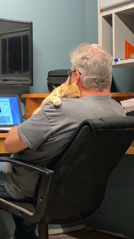 1. At first he said "we can't keep him", but now he works on the computer with the cat asleep on his shoulder.