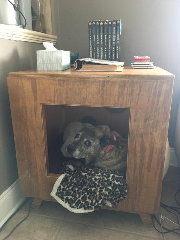 12. Papa beweert dat hij de hond die ze in huis hebben niet leuk vindt, maar hij heeft dit tafeltje met een klein hondenhok voor haar gebouwd.