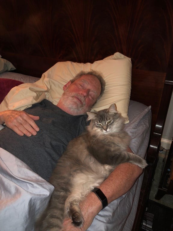 13. Dad once said "get this cat out of my bed immediately", but now he has sweet dreams by his side.