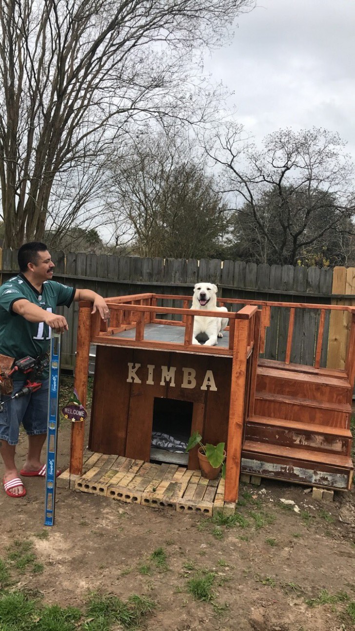 2. "No dogs in this house," he said, and then he built a house just for his lovely puppy.