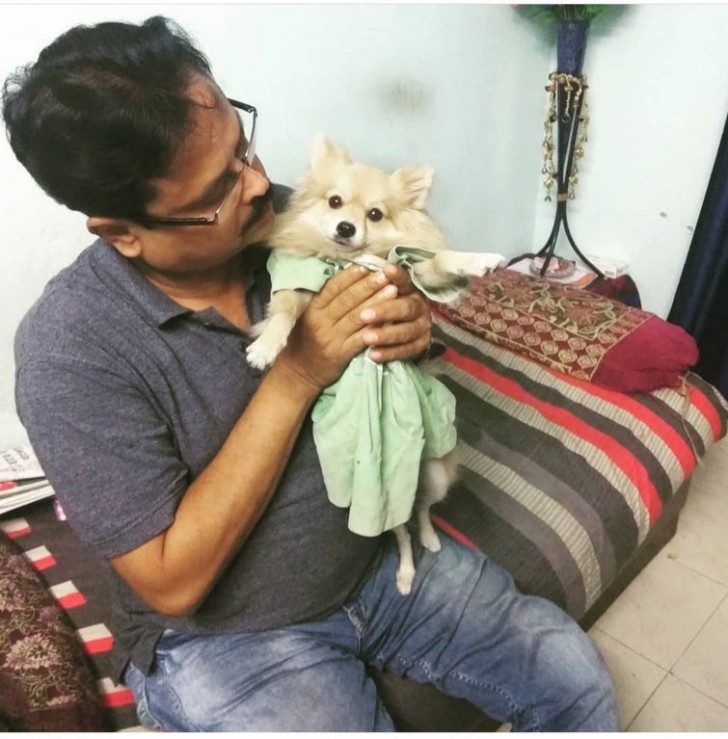 7. Este papá ha vestido "al perro que no quería" con el vestido que la hija usaba de pequeña. Una nueva niña ha entrado a la casa.