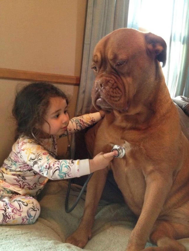 15. The face may be frowning but, despite his size, he is a big soft cuddly patient and the child knows there is nothing to be afraid of.
