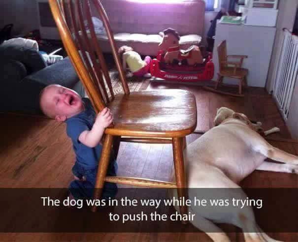 4. Der kleine Junge weint, weil der Hund sich auf den Boden gelegt hat und er mit dem Stuhl nicht vorbeikommt. Wo muss er ihn wohl hinbringen?