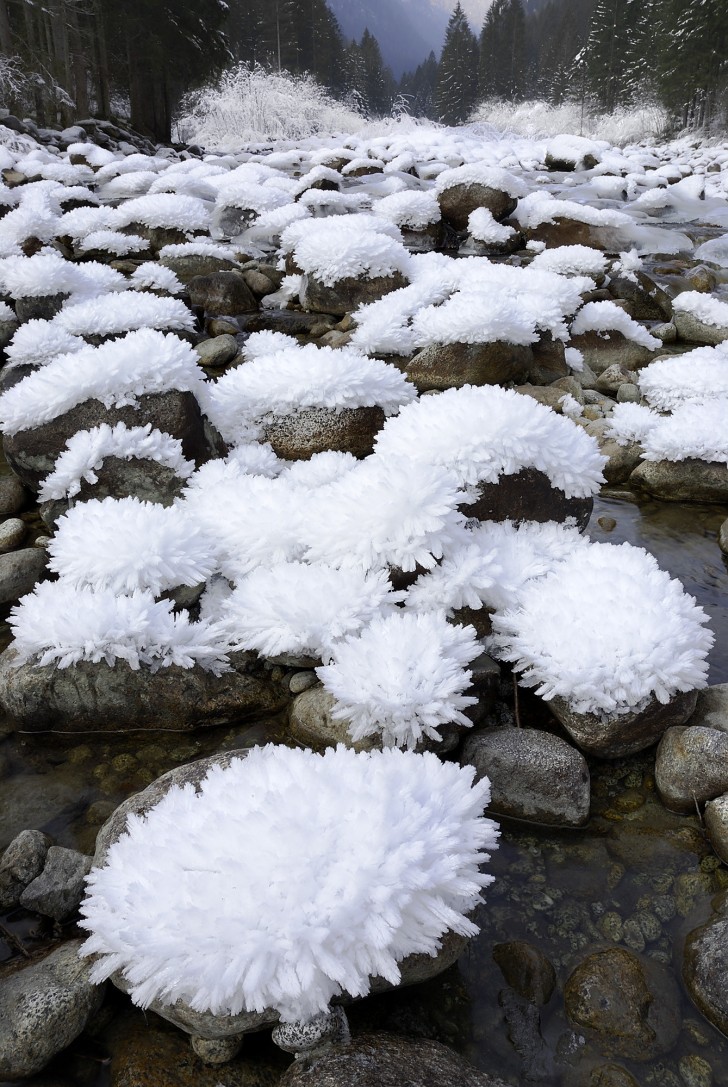 14. ¡Bellísimas "flores" de hielo!