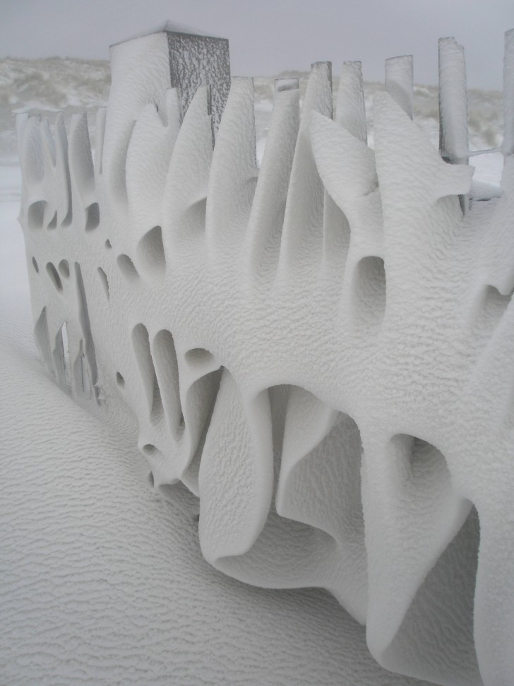 3. "Estas son las obras de arte que solo la Naturaleza puede crear...el cerco de mi casa después de la nevada de esta noche"