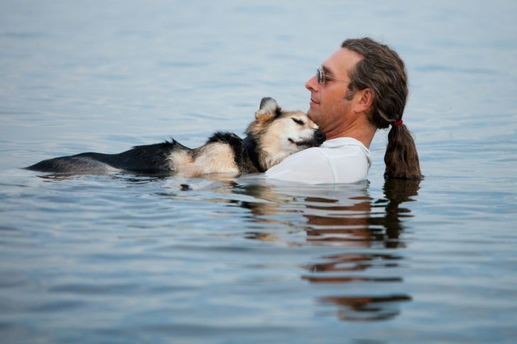 ¡Hidroterapia para perros con necesidades especiales!