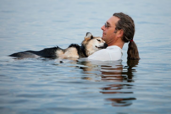 Hydrotherapie voor honden met speciale behoeften!