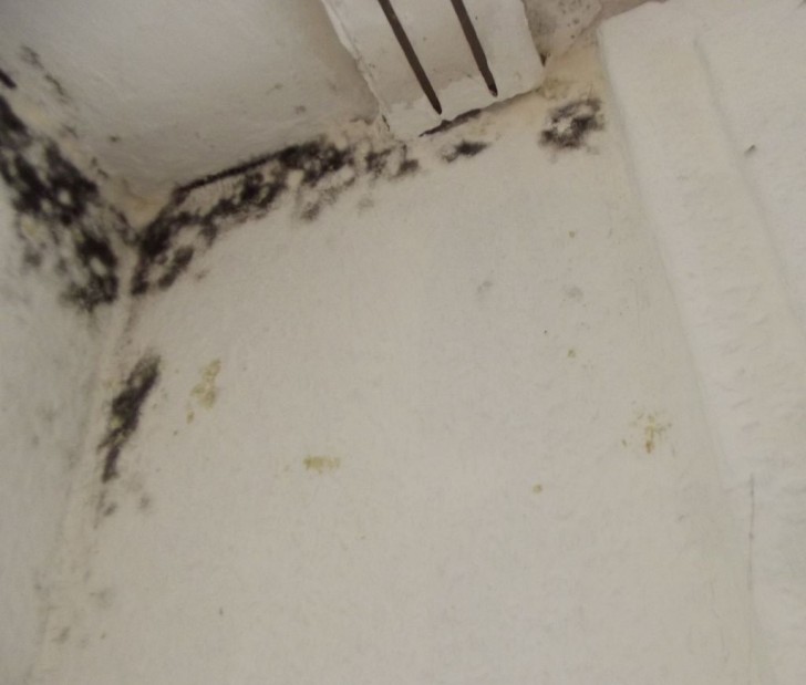 3. Natriumbikarbonat gegen Schimmel