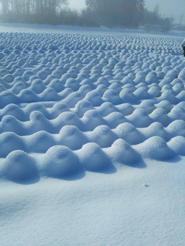 16. Auf einem Krautfeld: So perfekt war Schnee noch nie!