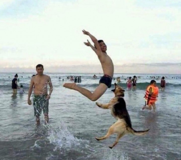 3. He wanted a stylish photo by the sea, and his jump is impressive. Except that the dog looks like he's about to deliver a very painful bite.