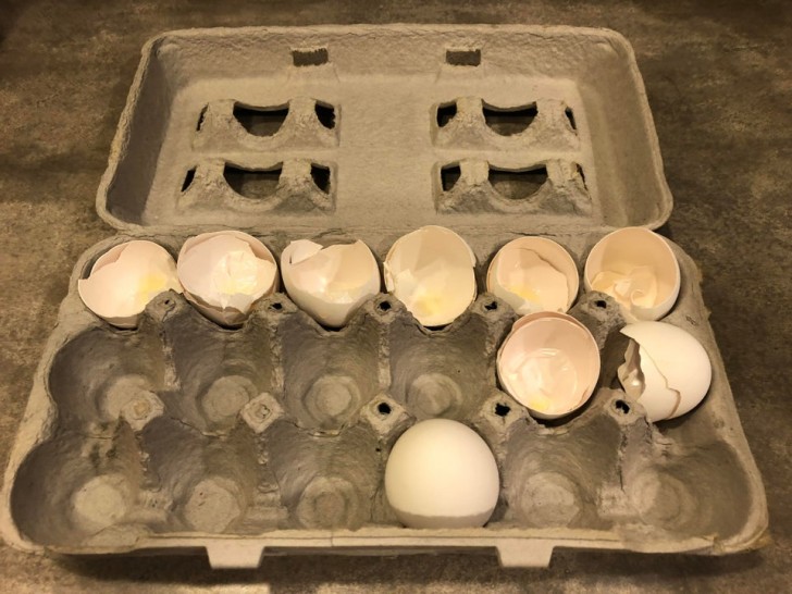 10. Der Ehemann kochte die Eier und dachte daran, die Schalen im Behälter zu lassen, wobei ein Ei noch ganz war. Warum?