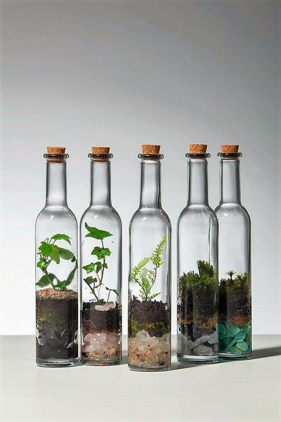 10. Schauen Sie, wie schön auch in Glasflaschen, vielleicht die alten von Schnaps oder Öl