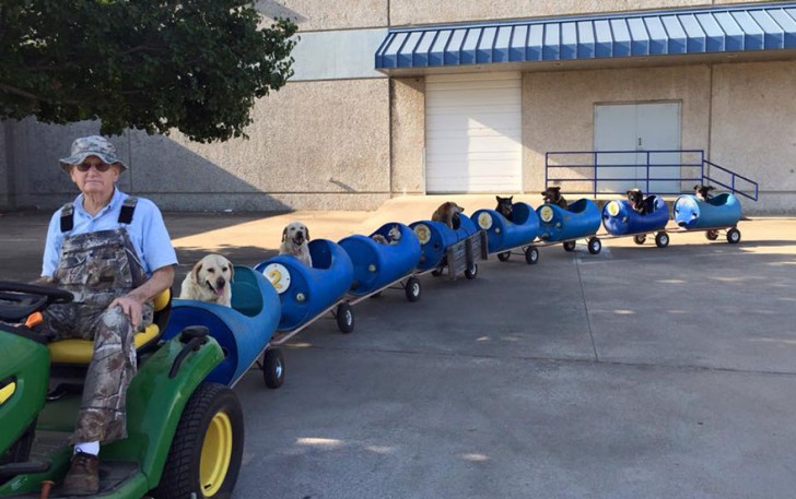 4. This 80-year-old man has built a train for dogs: he takes them for rides to discover new places.