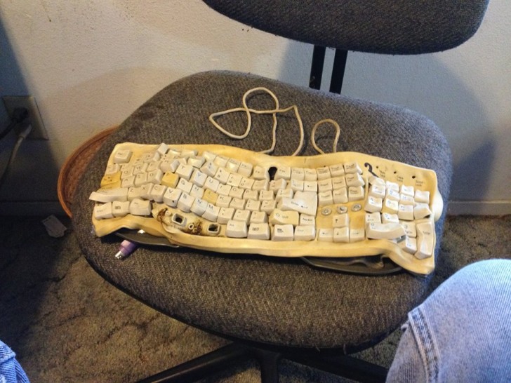4. Jemand hatte die geniale Idee, die Tastatur zum Trocknen in einen Ofen zu legen. Wie verwenden Sie sie jetzt?