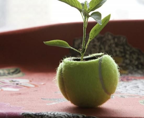 7. Un mini vaso per piante