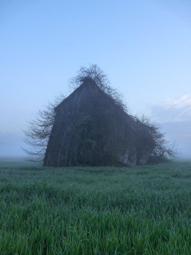 C'était une maison habitée... Maintenant, on dirait un film d'horreur !