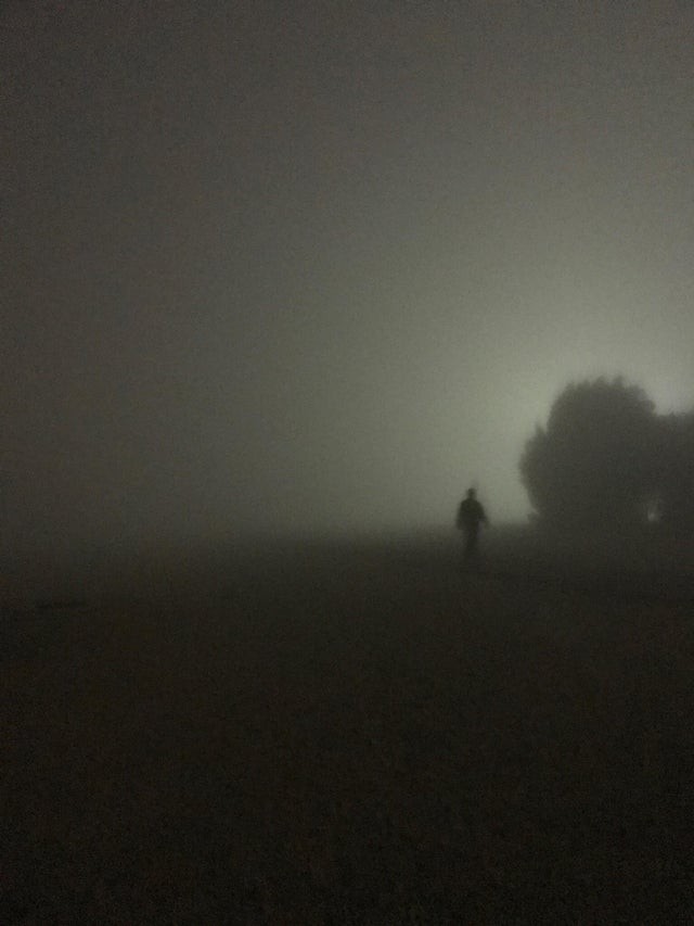A photograph taken by my husband while he was taking a walk in the fields ... who is that mysterious man?