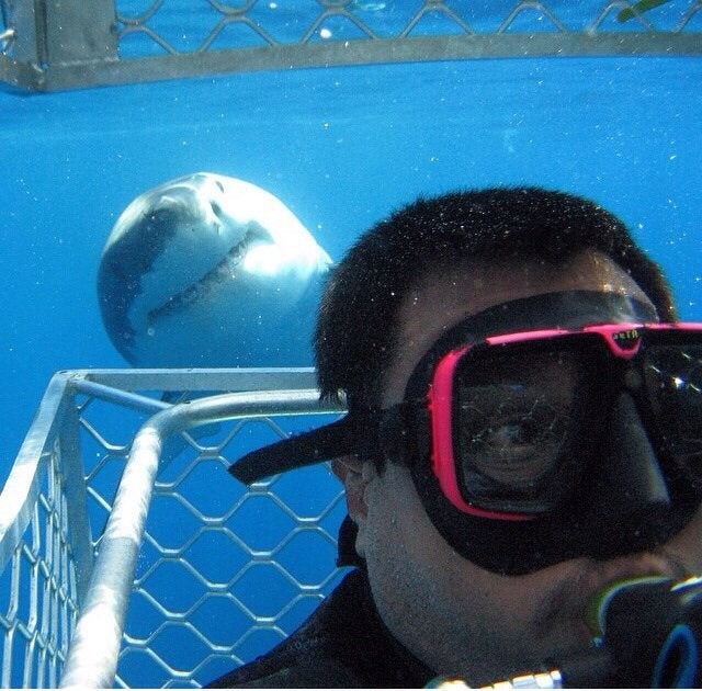 6. Une plongée sous-marine s'est transformée en selfie de couple : le regard inquiet de l'homme suggère qu'il a remarqué l'invité.
