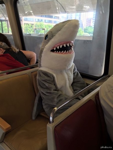 14. Quelqu'un a décidé de se déguiser en requin : pour une soirée déguisée ou parce qu'il ne veut pas être reconnu ?