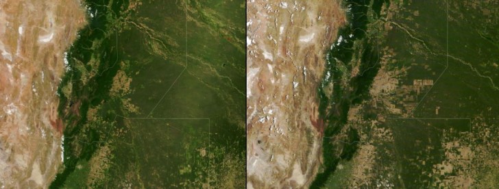 4. Les effets catastrophiques de la déforestation en Argentine, de 2000 à 2019 : l'homme sait vraiment comment nuire à l'environnement qui l'accueille