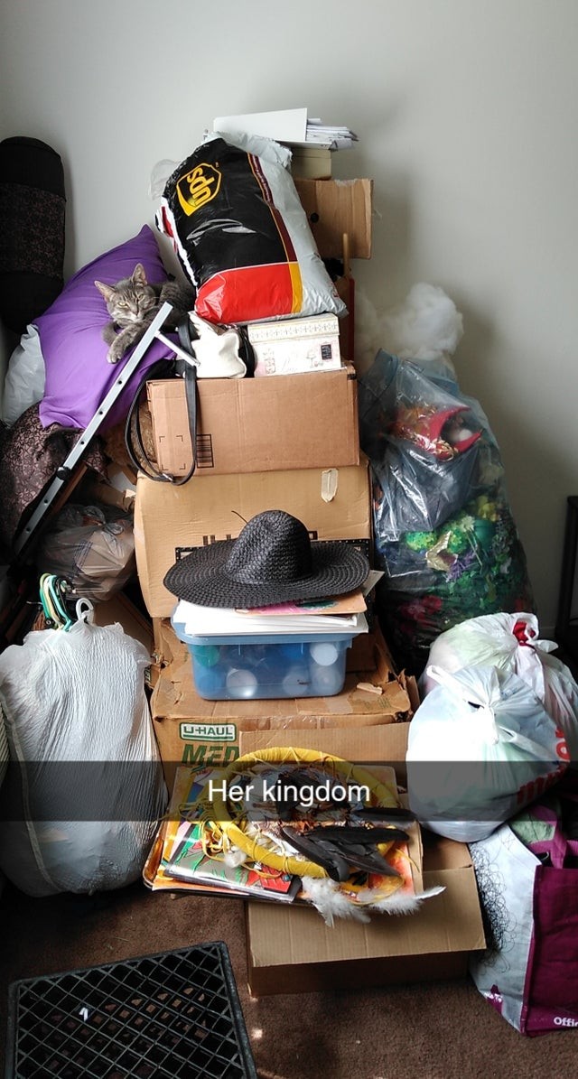 1. Sembra ieri che abbia trasferito momentaneamente tutti i suoi oggetti in soggiorno ma in realtà sono lì da 2 mesi.
