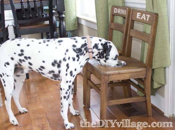 8. Se avete cani di grandi dimensioni, li aiuterete molto sollevando le ciotole con cibo e acqua, e potreste farlo riciclando due vecchie sedie