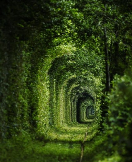 5. La natura ha creato questo tunnel in una ferrovia: diventa verde d'estate e, con il trascorrere delle stagioni, assume sempre nuovi colori.