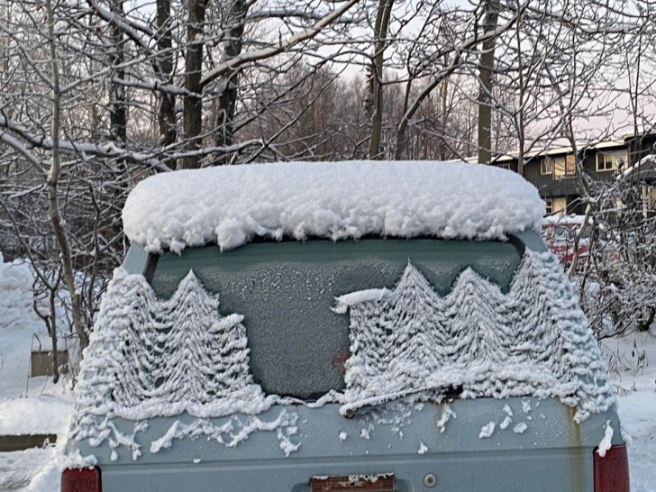 7. Lorsque la neige a fondu au soleil, elle a formé de petits pins enneigés sur la voiture. Trop beau !