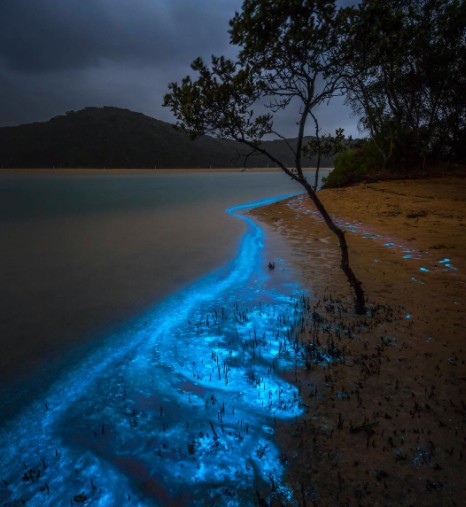 8. Dieses Foto zeigt die Biolumineszenz, die durch Regen verursacht wird, der auf eine Ansammlung von Algen in einer Lagune trifft.