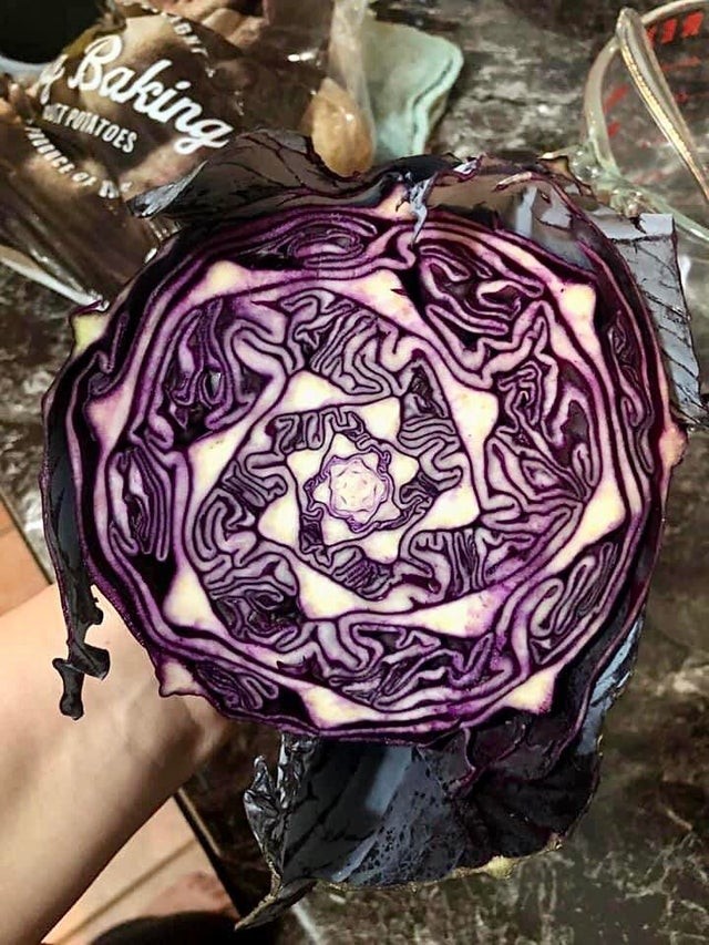 9. Anche le verdure possono diventare estremamente affascinanti, come nel caso di questo cavolo con una doppia spirale.