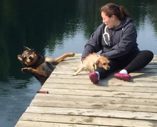 17. The dog's expression before hitting the water says it all